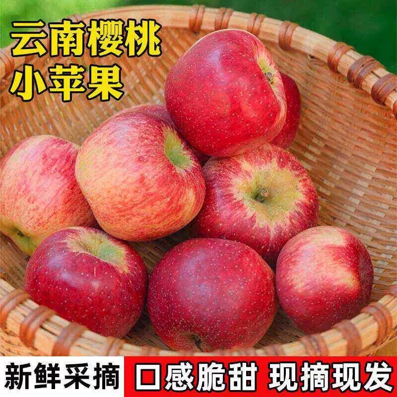 正宗云南樱桃小苹果阿克苏冰糖心苹果水果脆甜多汁果香丑苹果小SS