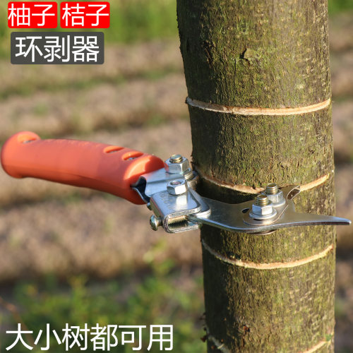 蜜柚桔子荔枝环剥果树环割刀苹果梨树可调节大小树可环割器环枝剪