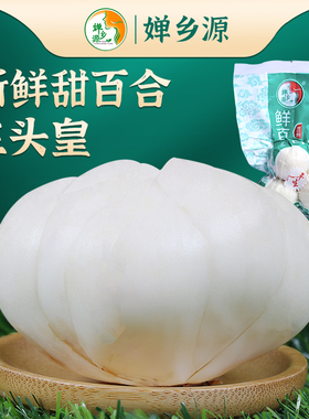 甘肃兰州甜百合九年生三头皇婵乡源500克优质婵乡源兰州鲜百合