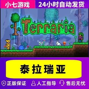 Steam PC正版 游戏 泰拉瑞亚 Terraria 小七电玩