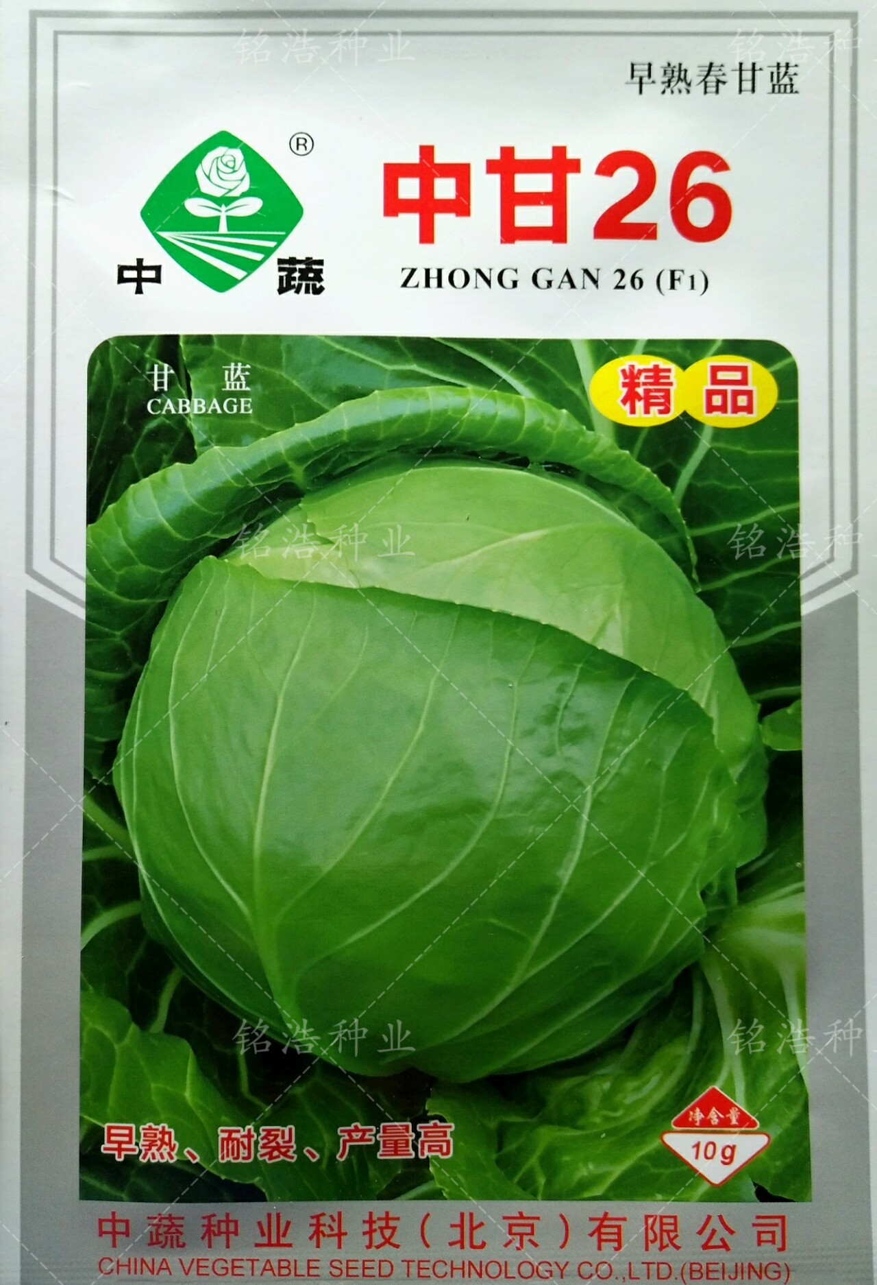 中甘26甘蓝种子卷心菜包心菜包菜种籽大头菜早熟高产春秋蔬菜种子