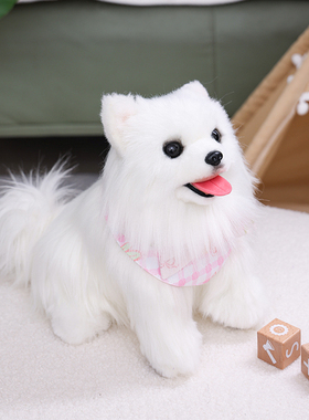 凯特胡赛尼仿真博美犬狗狗毛绒公仔模型桌面家居摆件生日礼物狗