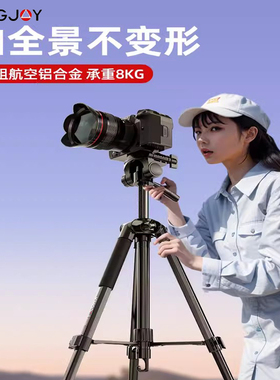 劲捷（kingjoy）VT860直播补光拍摄旅行自拍铝合金三脚架云台套装