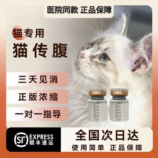 猫传腹喵咪传腹针剂口服片针剂油剂水剂干湿性剂喵咪消腹营养液