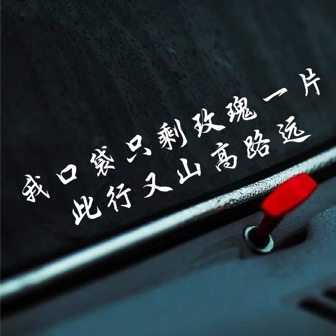 我口袋只剩玫瑰一片网红车贴