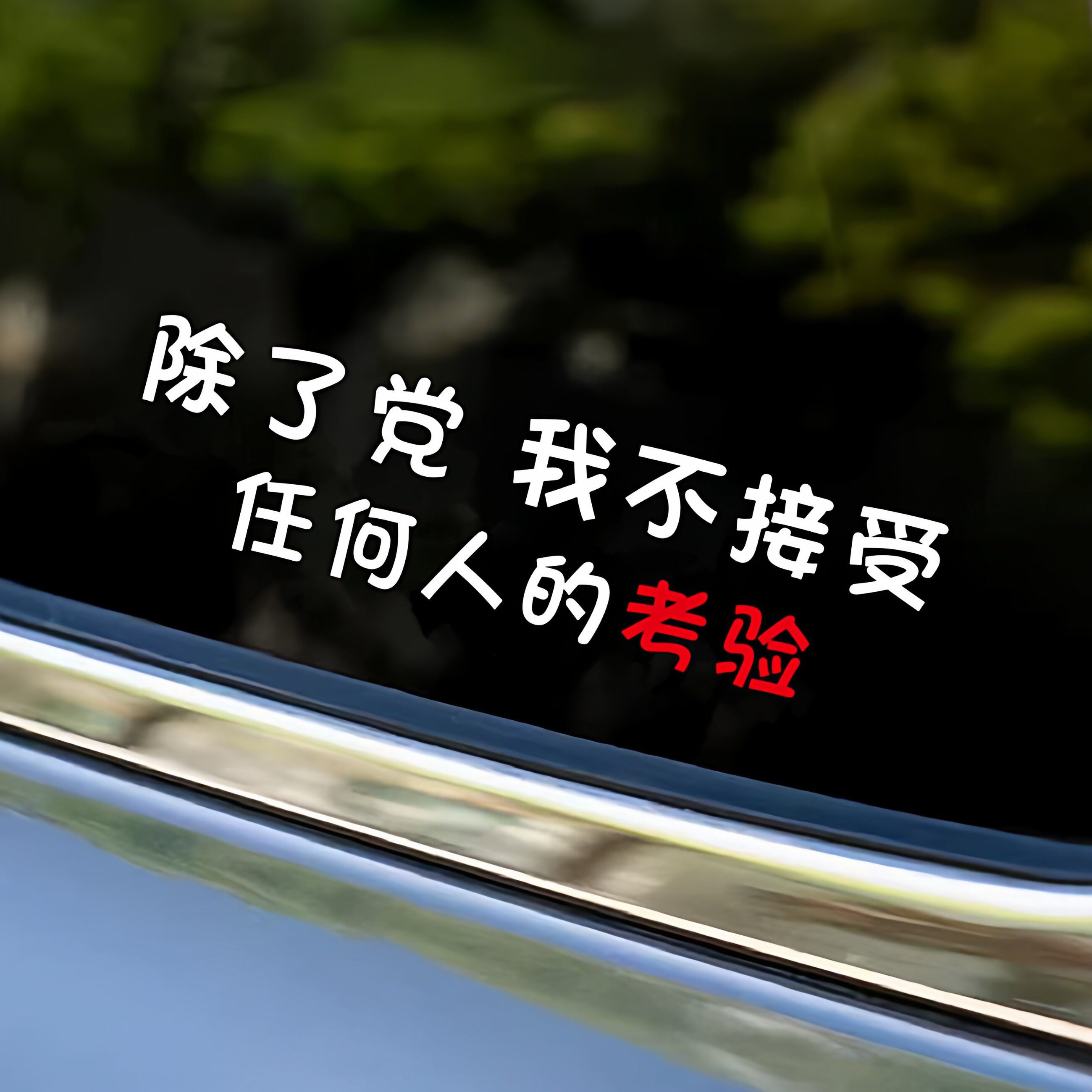除了党我不接受任何人的考验车贴