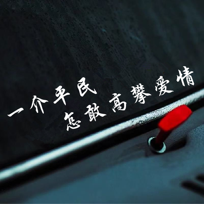 一介平民怎敢高攀爱情网红车贴