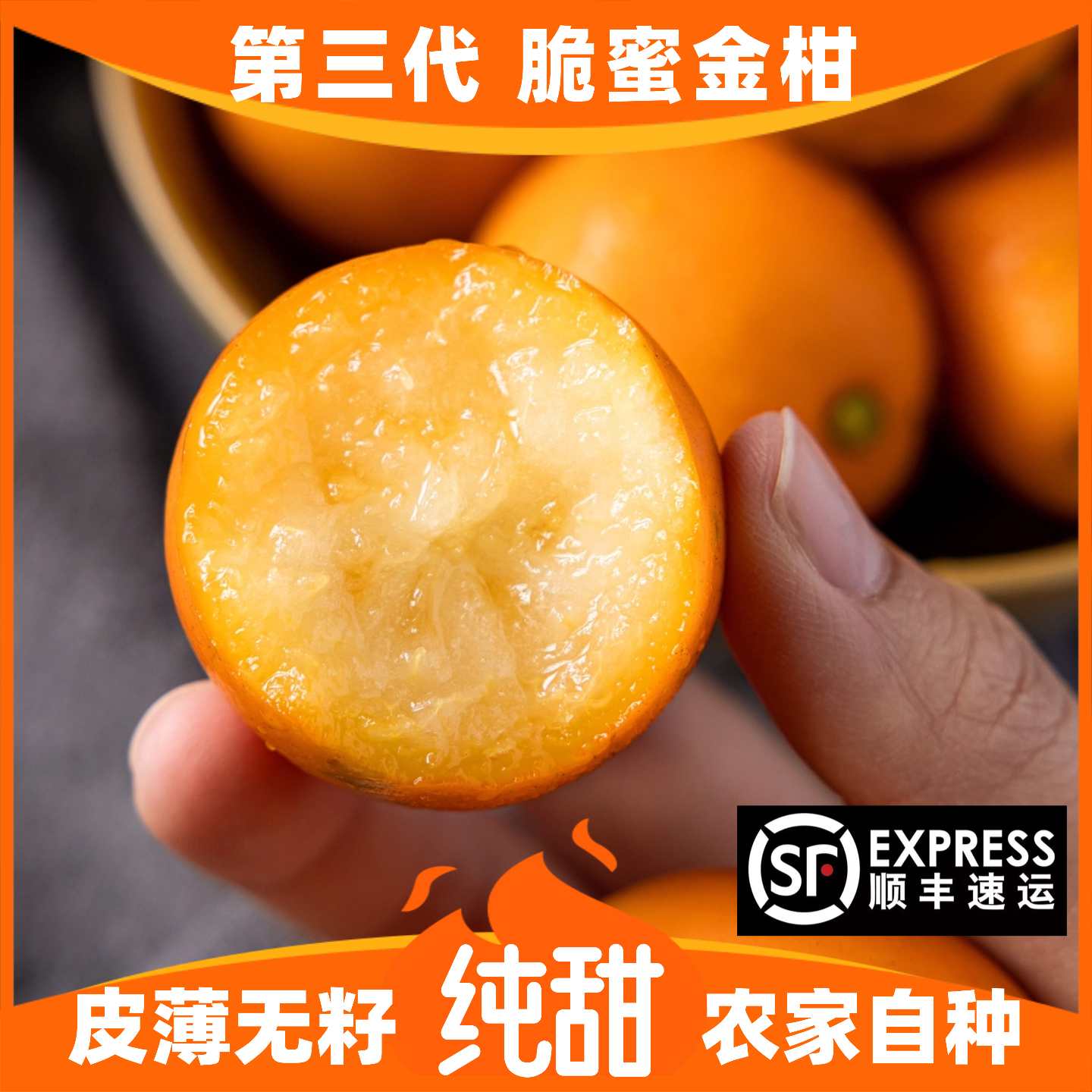 正宗脆蜜金柑第三代融安金桔