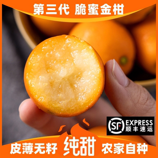 正宗脆蜜金柑第三代融安金桔独立包装现摘发广西特产新鲜水果礼盒