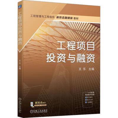 工程项目投资与融资 王乐   经济书籍