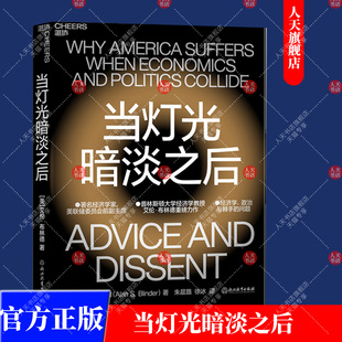 正版书籍 当灯光暗淡之后 9787572235016 艾伦·布林德著 湛庐文化  灯柱理论的起源 经济学启示和应用 应对灯柱理论的权宜之计