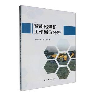 正版书籍 智能化煤矿工作岗位分析杨哲西北大学出版社有限责任公司工业技术  人天书店畅销书排行榜