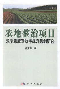 农地整治项目效率测度及效率提升机制研究 汪文雄 农业用地土地整理研究中国 经济书籍