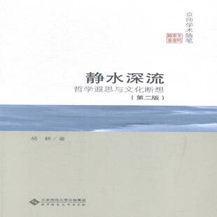正版书籍 静水深流:哲学遐思与文化断想杨耕北京师范大学出版社文化哲学文集 人天书店畅销书排行榜