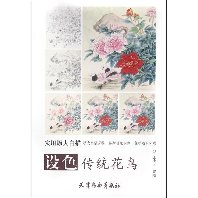 正版书籍 设色传统花鸟王金才绘天津杨柳青画社艺术  人天书店畅销书排行榜