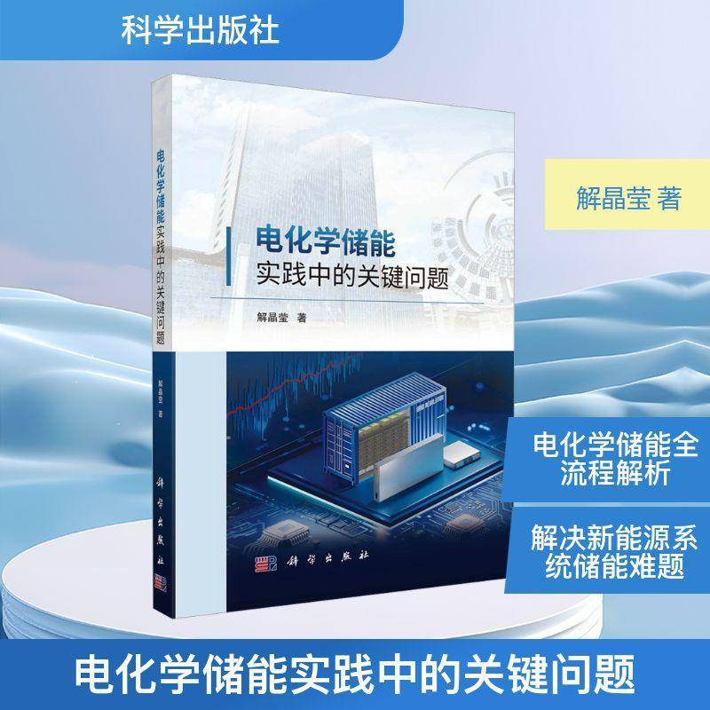 正版书籍 电化学储能实践中的关键问题解晶莹科学出版社工业技术  人天书店畅销书排行榜