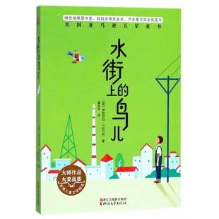正版书籍 水街上的鸟儿伊丽莎白·杜兰巴浙江文艺出版社小说长篇小说美国现代 人天书店畅销书排行榜