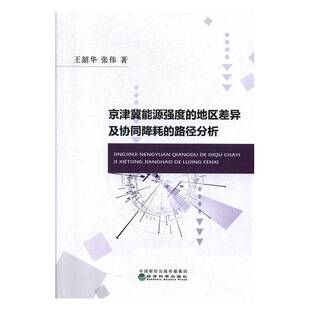 正版书籍 京津冀能源强度的地区差异及协同降耗的路径分析王韶华经济科学出版社经济  人天书店畅销书排行榜
