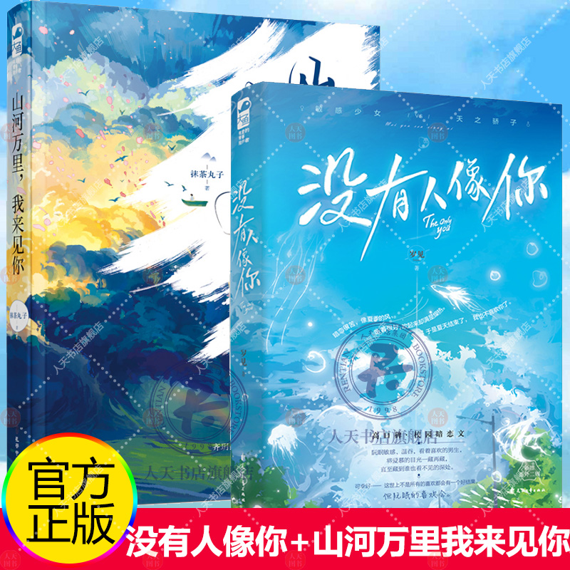 正版 山河万里 我来见你+没有人像你 抹茶丸子 大鱼文化系列现代都市青春言情甜宠文学晋江文学城军旅甜宠文言情小说实体书籍