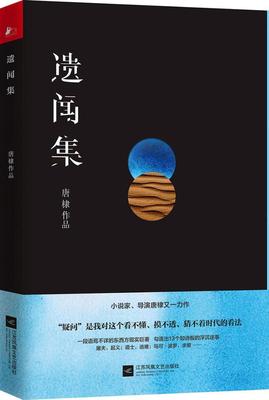 遗闻集 唐棣 短篇小说小说集中国当代 艺术书籍