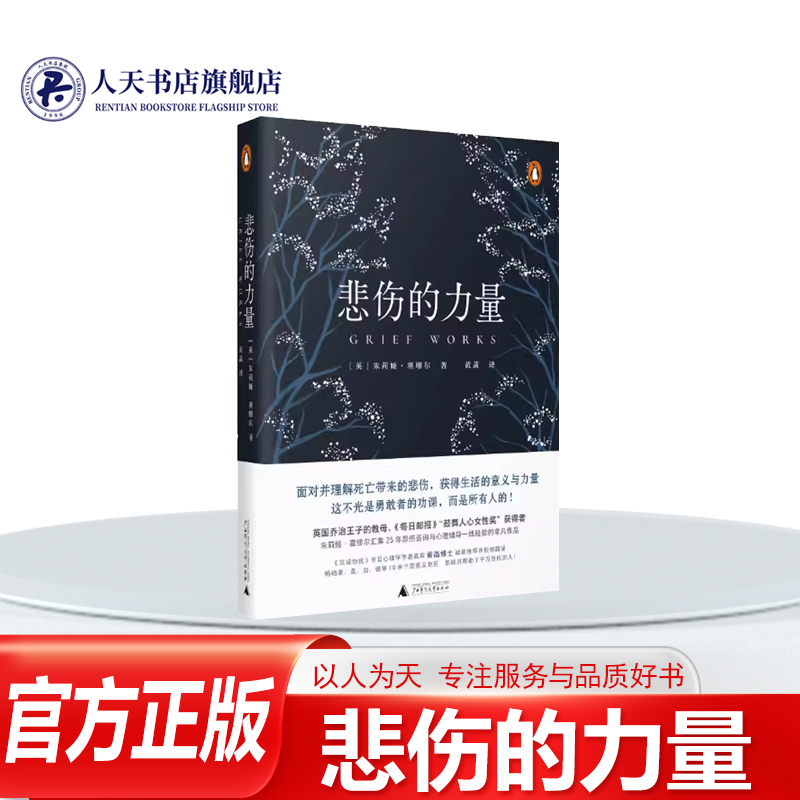 悲伤的力量朱莉娅·塞缪尔心理学