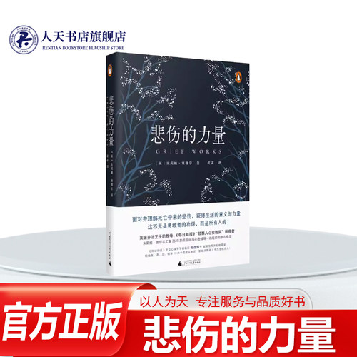 悲伤的力量朱莉娅·塞缪尔心理学