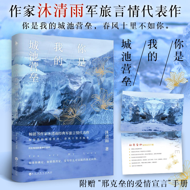 正版包邮 你是我的城池营垒 沐清雨 旅言情代表作小说 有颜又专情的