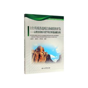 正版书籍 巨厚特低渗透砾岩油藏精细开发:以克拉玛依八区下乌尔禾组油藏为例刘顺生石油工业出版社工业技术  人天书店畅销书排行榜