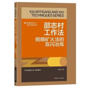 正版书籍 邵志村工作法:铜精矿火法的双闪冶炼邵志村中国工人出版社工业技术  人天书店畅销书排行榜