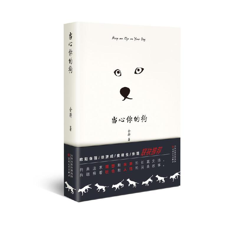 当心你的狗 余耕 百花文艺出版社  百花文学奖得主 余耕又一另类之作 小说 中国当代小说 文学 现当代文学 书籍