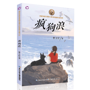 正版包邮 疯狗浪 儿童小说 书籍