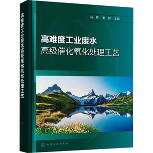 社自然科学 高难度工业废水催化氧化处理工艺冯辉化学工业出版 人天书店畅销书排行榜 书籍 正版