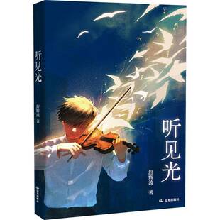 正版书籍 听见光舒辉波云南晨光出版社有限责任公司文学  人天书店畅销书排行榜