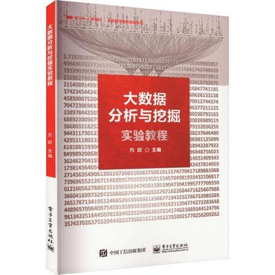大数据分析与挖掘实验教程 万欣   工业技术书籍