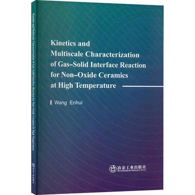 正版书籍 Kiics and multiscale characterization of gas-solid interface react冶金工业出版社工业技术  人天书店畅销书排行榜