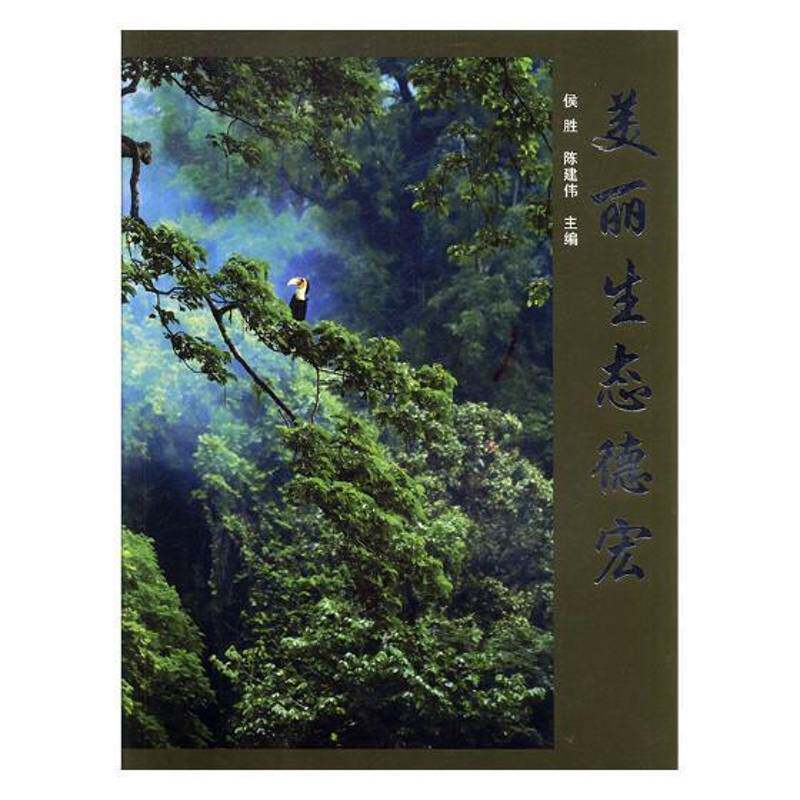 正版书籍 美丽生态德宏侯胜中国林业出版社艺术摄影集中国现代 人天书店畅销书排行榜