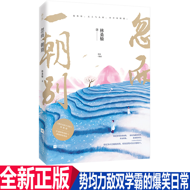 正版 忽而一朝别 青春作家林桑榆著 光阴系列结局篇 魏光阴&程改改&叶慎寻 青春都市文学小说书 花火轻虐甜宠言情 惟有光阴不可