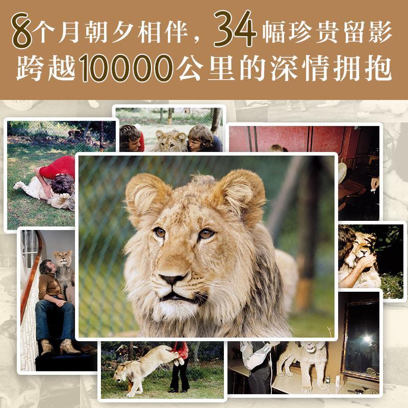 正版书籍 我们的狮子朋友安东尼·布尔克南海出版公司小说长篇小说澳大利亚现代少年儿童人天书店畅销书排行榜