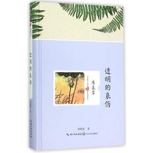 正版书籍 透明的哀伤席慕容长江文艺出版社文学散文集中国当代 人天书店畅销书排行榜