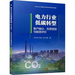 正版书籍 电力行业低碳转型:客户细分、负荷预测与能效评价王莉芳机械工业出版社经济  人天书店畅销书排行榜