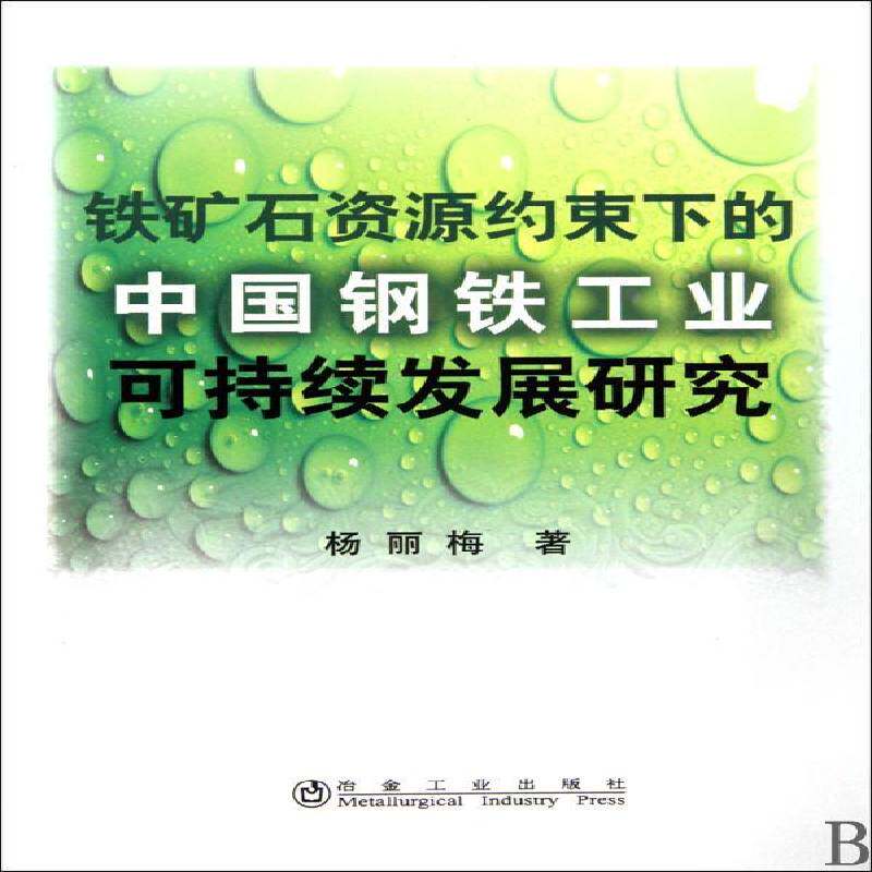 正版书籍 铁矿石资源约束下的中国钢铁工业可持续发展杨丽梅冶金工业出版社经济钢铁工业可持续发展研究中国 人天书店畅销书排行榜