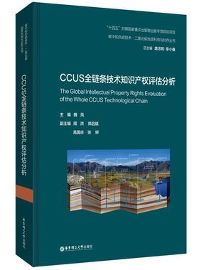 CCUS全链条技术知识产权评估分析 魏凤   法律书籍
