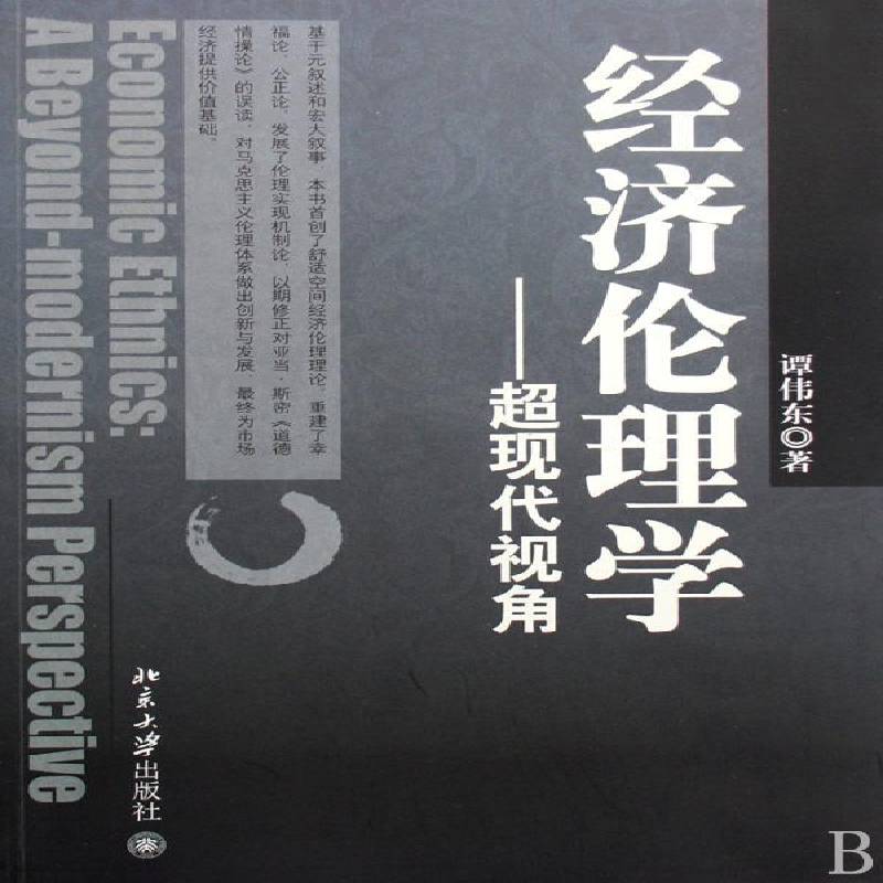 正版书籍 经济伦理学:超现代视角:a beyond-modernism perspective谭伟东北京大学出版社哲学宗教经济伦理学 人天书店畅销书排行榜