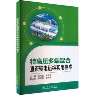 特高压多端混合直流输电运维实用技术 工业技术书籍 吕超