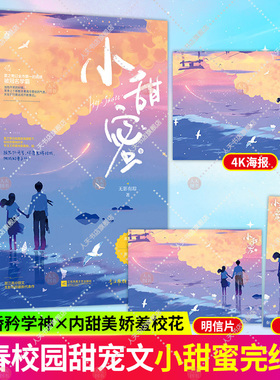 随机特签书【随书赠品】小甜蜜.下完结篇 无影有踪著花火青春现代甜宠言情小说书籍校服到婚纱甜文