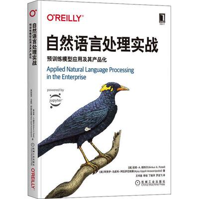 正版书籍 自然语言处理实战：预训练模型应用及其产品化安库·帕特尔机械工业出版社工业技术  人天书店畅销书排行榜