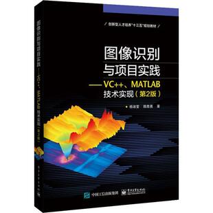 杨淑莹 MATLAB技术实现 计算机与网络书籍 图像识别与项目实践