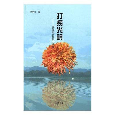 正版书籍 打捞光明：谭仲池长篇小说选谭仲池线装书局小说长篇小说中国当代 人天书店畅销书排行榜