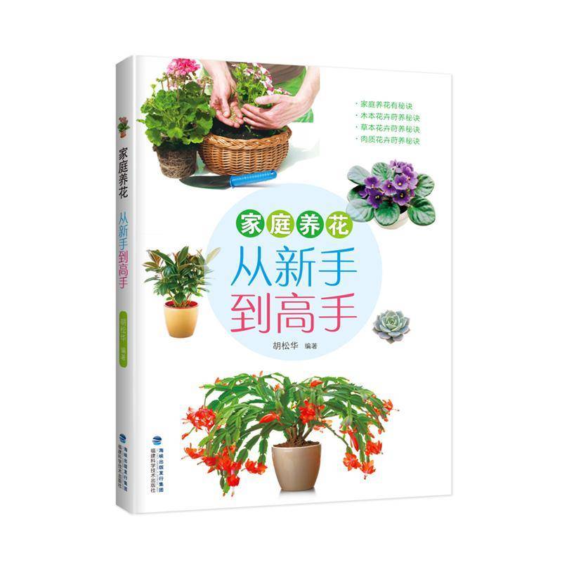 正版书籍 家庭养花:从新手到高手胡松华福建科学技术出版社生活休闲花卉观赏园艺 人天书店畅销书排行榜图片
