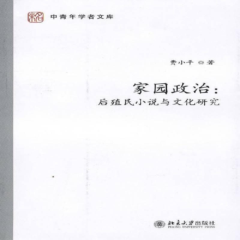 正版书籍 家园政治：后殖民小说与文化研究费小北京大学出版社文学小说研究世界 人天书店畅销书排行榜